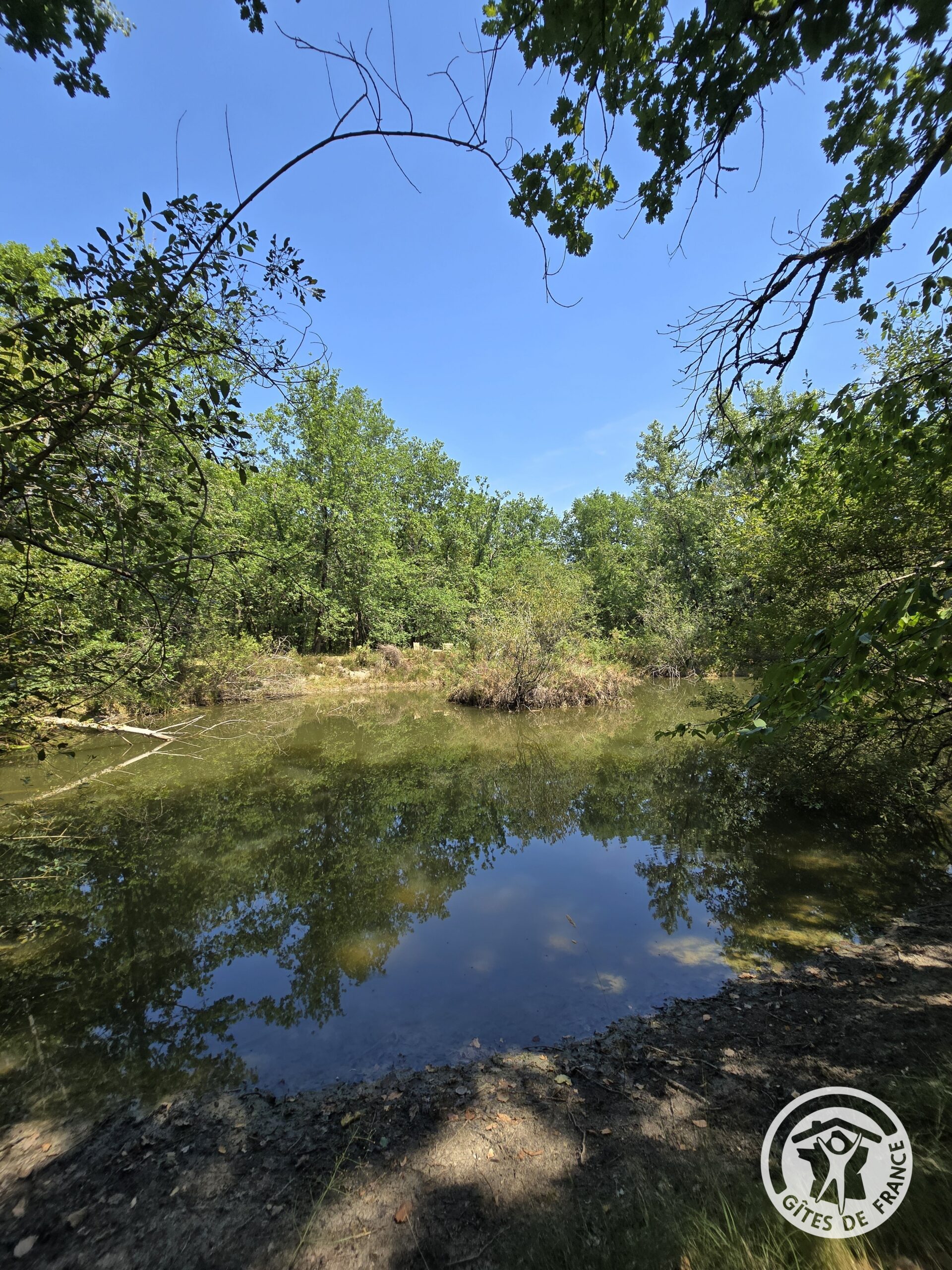 Le Petit Lac, au cœur du jardin du gîte en Périgord Pourpre