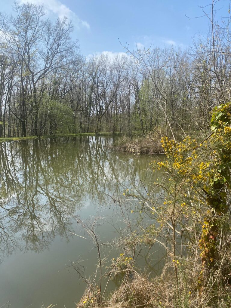 Vue sur le Petit Lac, accessible à pied depuis le gîte M Papillonne en Périgord Pourpre.