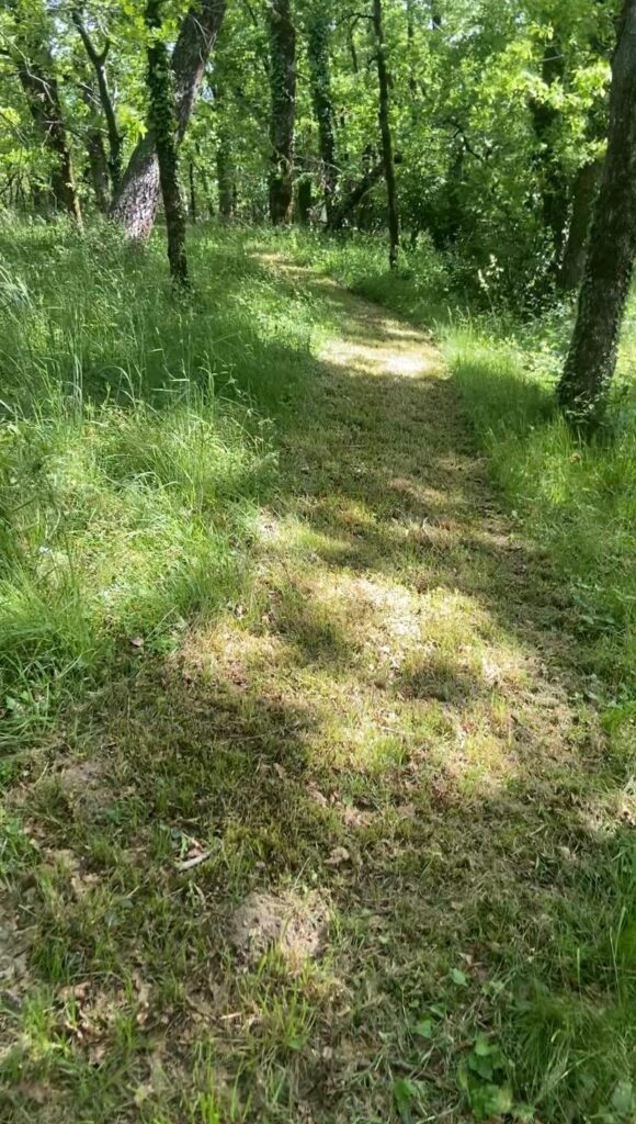 Chemin menant au Petit Lac à proximité du gîte M Papillonne en Périgord Pourpre.