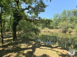 Petit lac bordé d’arbres dans l’environnement du gîte Le Petit Lac