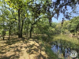 Bord du petit lac arboré près du gîte Le Petit Lac en Périgord Pourpre