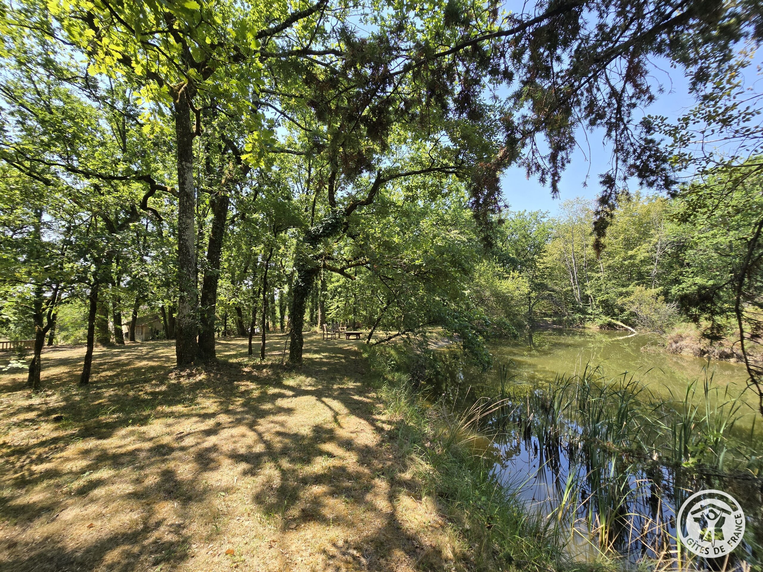 Bord du petit lac arboré près du gîte Le Petit Lac en Périgord Pourpre