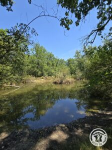 Vue dégagée sur le petit lac entouré de végétation au gîte Le Petit Lac
